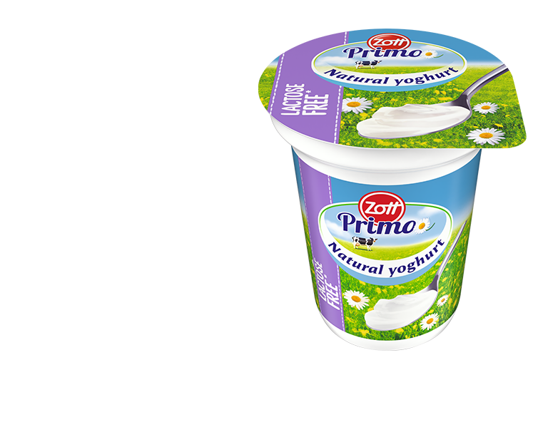 Jogurt Naturalny bez laktozy 330g